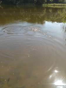 IMG_20160820_131343.jpg