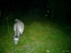WP_20160820_21_28_32_Pro.jpg