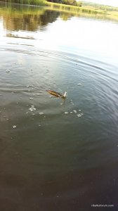 2016-08-23 15.16.46.jpg