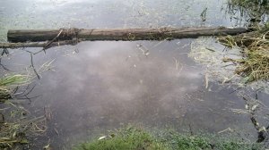 IMG_20160824_140309.jpg