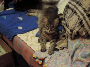 DSCN3729_759.JPG