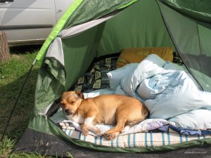 IMG_0331.jpg