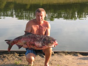 IMG_0351.jpg