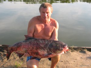 IMG_0352.jpg