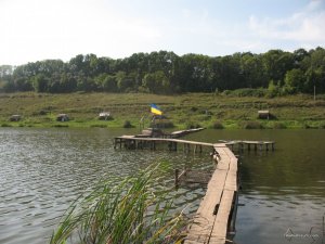 IMG_0354.jpg