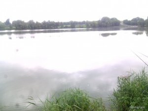 IMG_20160824_145815.jpg
