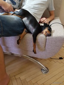 20160824_154501.jpg