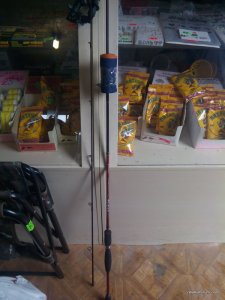 IMG_20160825_105352.jpg