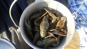 IMG_20160820_175109.jpg
