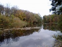 14102011440.jpg