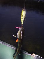 PIC_0158.JPG