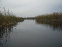 PIC_0161.JPG
