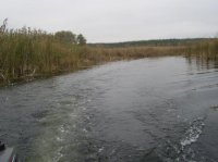 PIC_0169.jpg