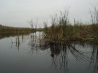 PIC_0170.jpg