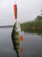 PIC_0174.JPG