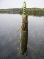 PIC_0182.JPG