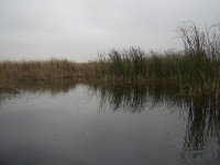 PIC_0186.JPG