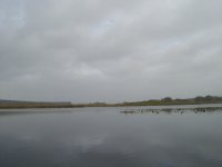 PIC_0187.JPG