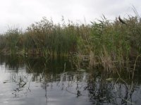 PIC_0188.jpg