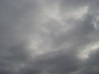 PIC_0191.JPG