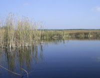 PIC_0193.JPG