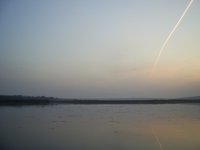 PIC_0202.JPG