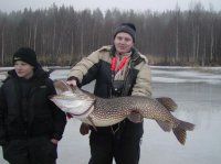 Щука 14 кг. Гладышевское озеро, Ленинградская область, Карельский перешеек.jpg