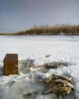 Рыбалка.Новосибирск 15 ноября 2011.jpg