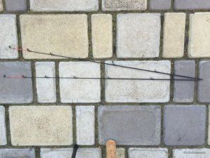image.jpeg