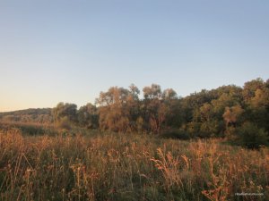 IMG_3623.JPG
