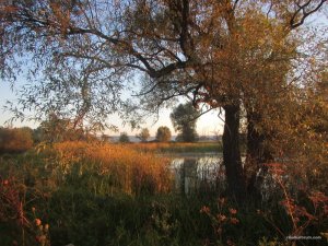 IMG_3626.JPG