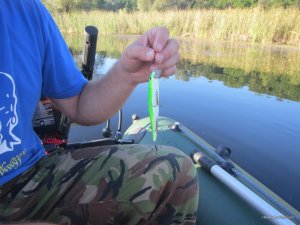 IMG_3641.JPG