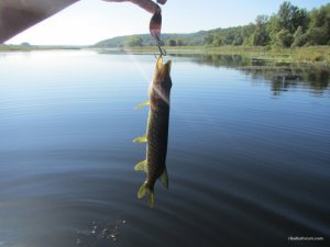 IMG_3647.JPG