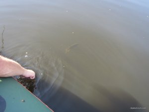 IMG_3651.JPG