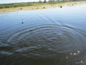 IMG_3655.JPG