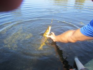 IMG_3671.JPG