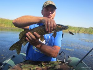 IMG_3673.JPG