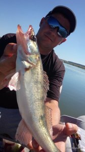 IMG_20160828_122326.jpg