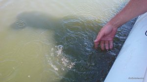 IMG_20160828_122352.jpg