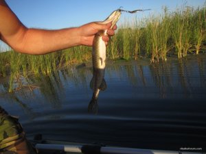 IMG_3681.JPG