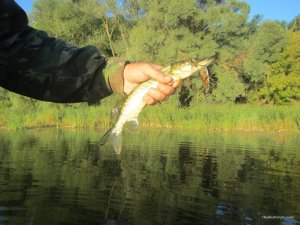 IMG_3691.JPG