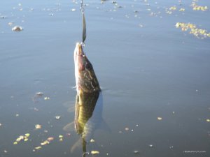 IMG_3694.JPG