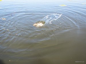 IMG_3703.JPG
