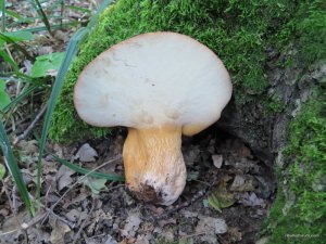 IMG_0024.JPG