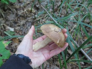 IMG_0044.JPG