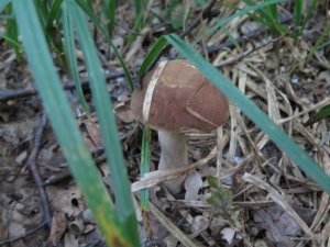 IMG_0046.JPG