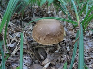 IMG_0048.JPG