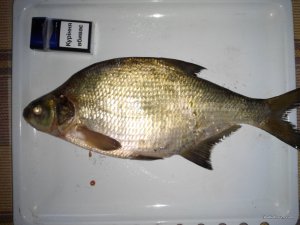 2016824165445.jpg