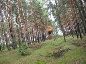 IMG_7682.JPG