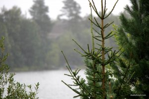 IMG_2430.JPG
